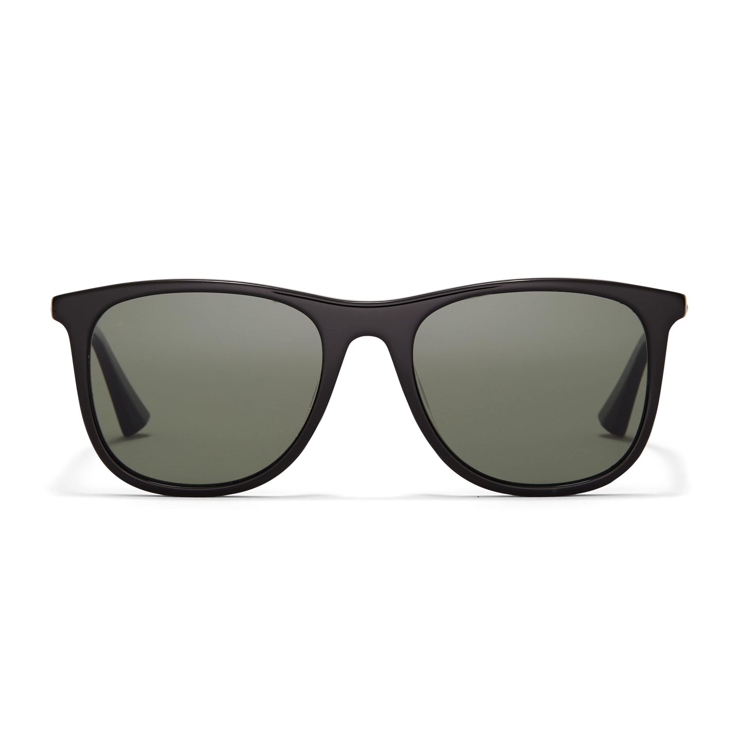 32054-C3 - Raleigh Sunglasses