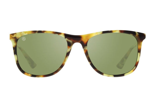 32054-C8 - Raleigh Sunglasses