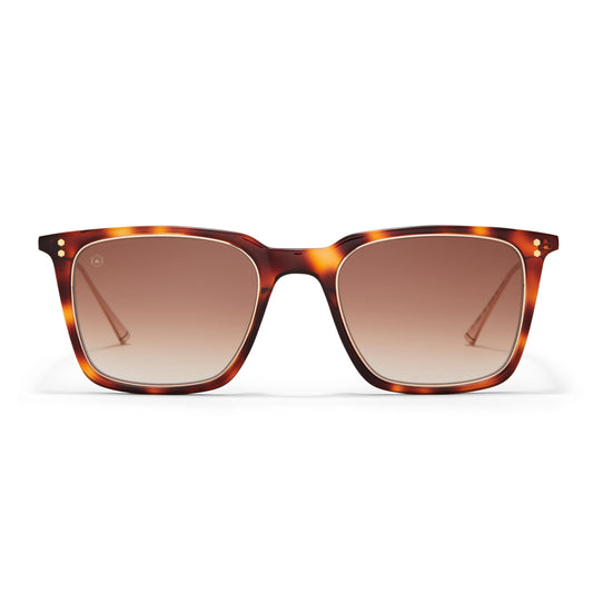 32064-C3 - Ledbury Sunglasses