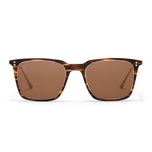 32064-C2 - Ledbury Sunglasses