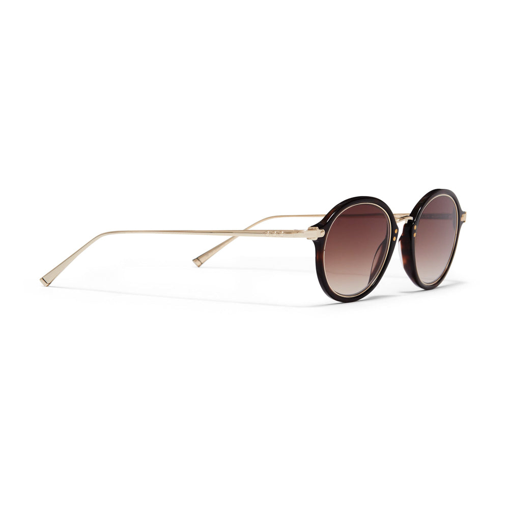 32067-C7 - Golborne Sunglasses