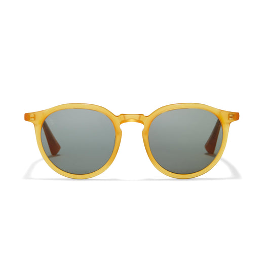 32078-C3 - Pembridge Sunglasses