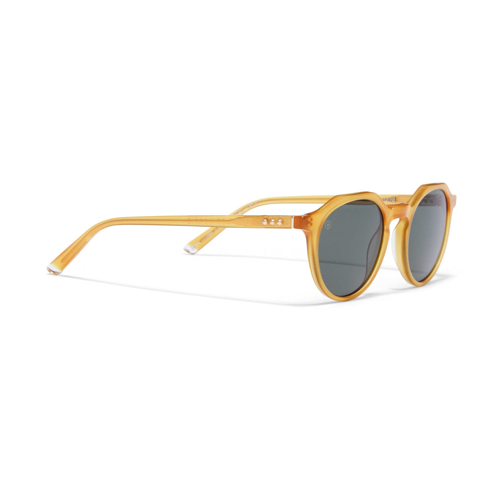 32088-C3 - Oxford Sunglasses